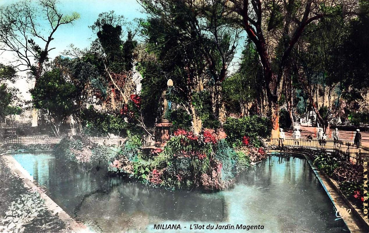Miliana - Jardin Magenta - l'ilot.jpg
